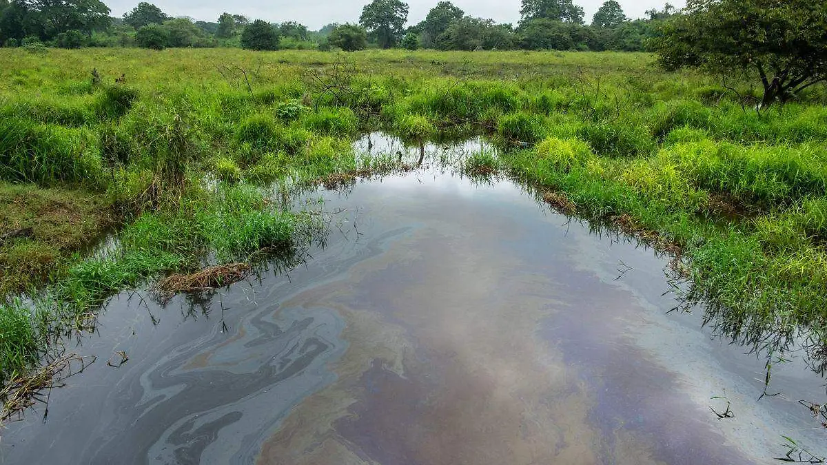 Río contaminado de hidrocarburo